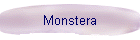 Monstera